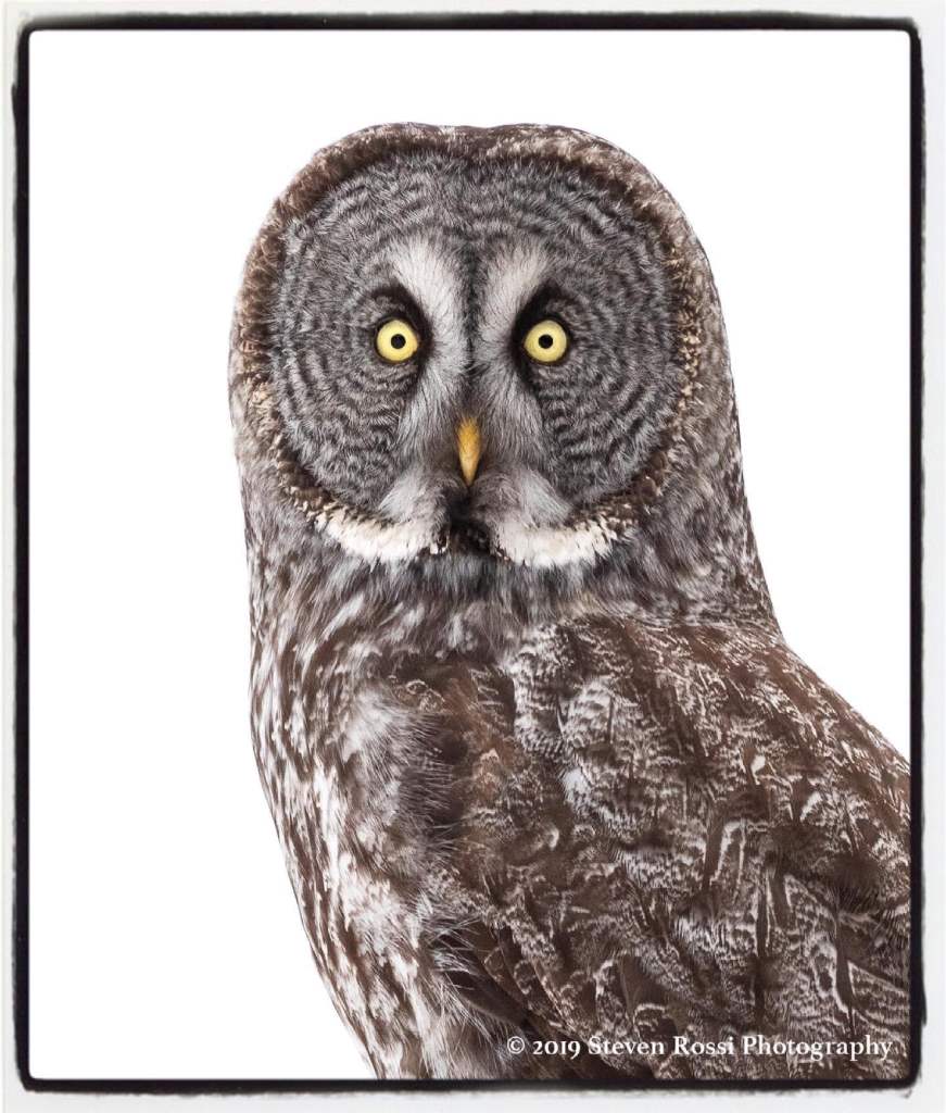 National Audubon Society "Gift Guide" 1 National Audubon Society "Gift Guide" 1