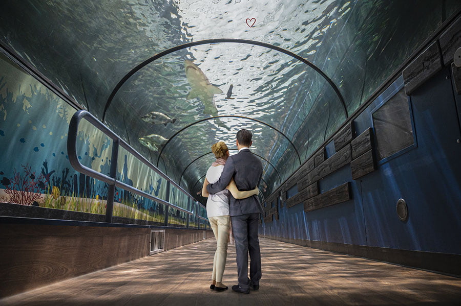 BLACKRAPID SPOTLIGHT: Richard Bartlett 4