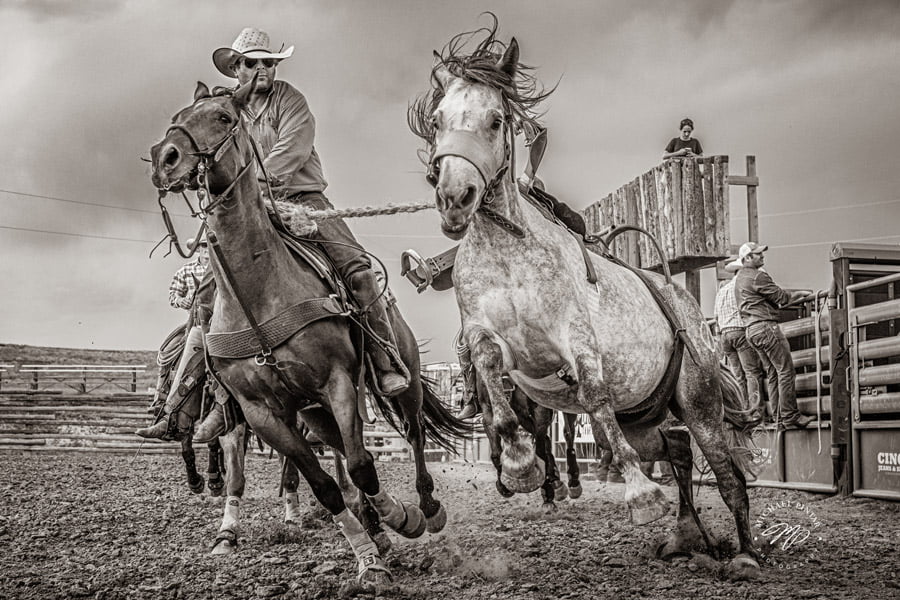 BLACKRAPID SPOTLIGHT: Michael Pintar 2