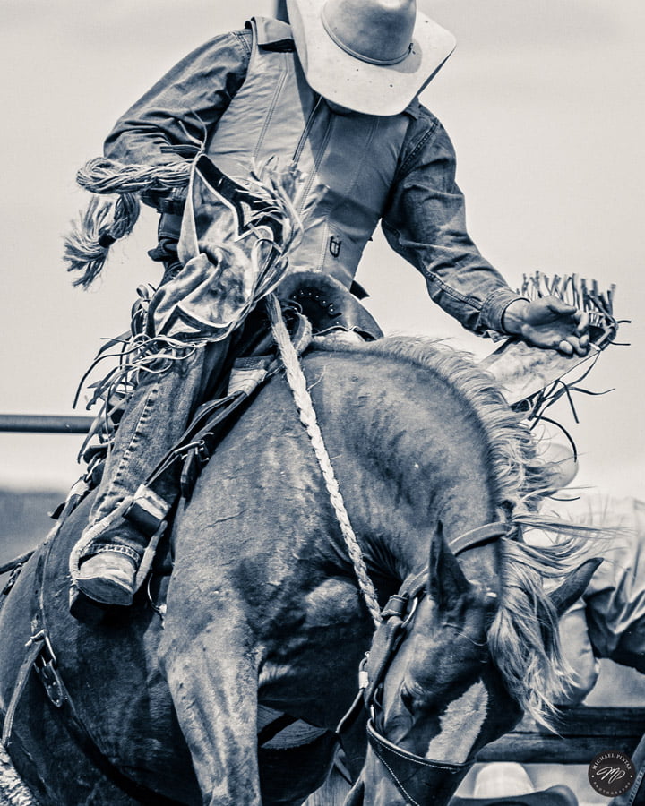 BLACKRAPID SPOTLIGHT: Michael Pintar 3