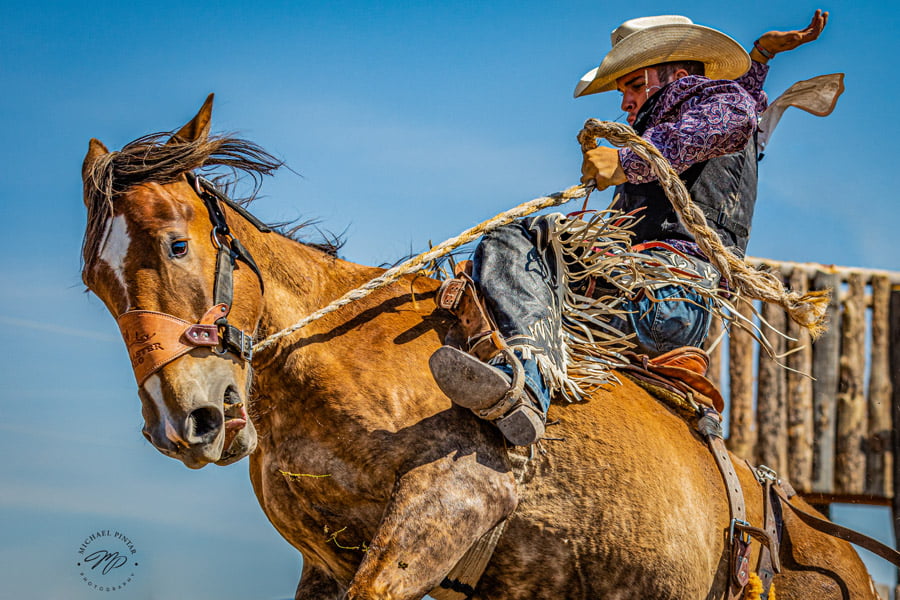 BLACKRAPID SPOTLIGHT: Michael Pintar 4