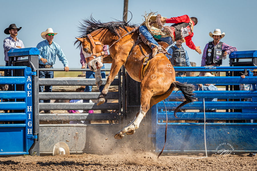 BLACKRAPID SPOTLIGHT: Michael Pintar 6