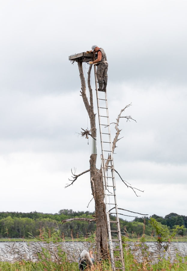 BLACKRAPID SPOTLIGHT: Steven Rossi 1