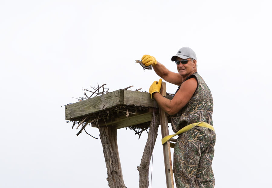 BLACKRAPID SPOTLIGHT: Steven Rossi 2