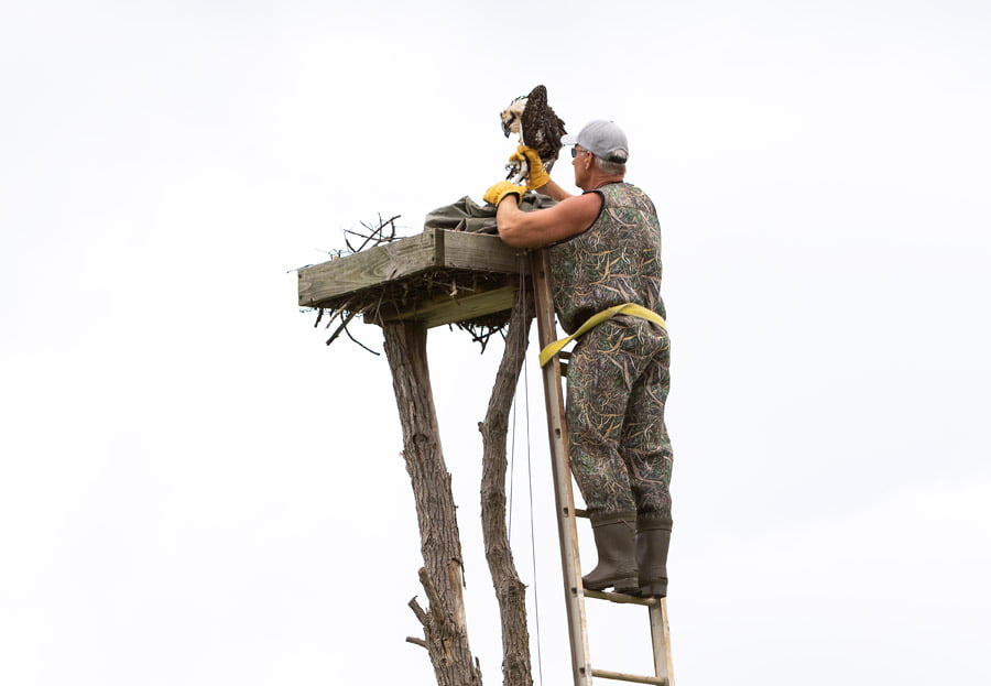 BLACKRAPID SPOTLIGHT: Steven Rossi 3