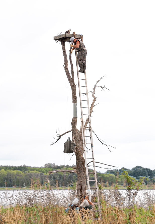 BLACKRAPID SPOTLIGHT: Steven Rossi 4