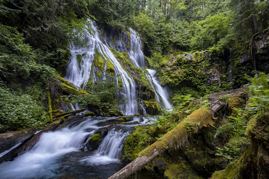 BLACKRAPID SPOTLIGHT: Suzi Pratt 4 BLACKRAPID SPOTLIGHT: Suzi Pratt 4