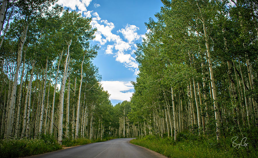 BlackRapid Photo-Moto Ride 2024 – Part 3 by Bry Cox 16 BlackRapid Photo-Moto Ride 2024 – Part 3 by Bry Cox 16