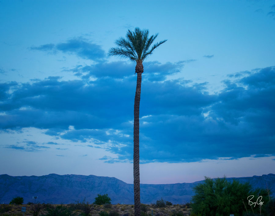 BlackRapid Photo-Moto Ride 2023 - Part 1 by Bry Cox 11