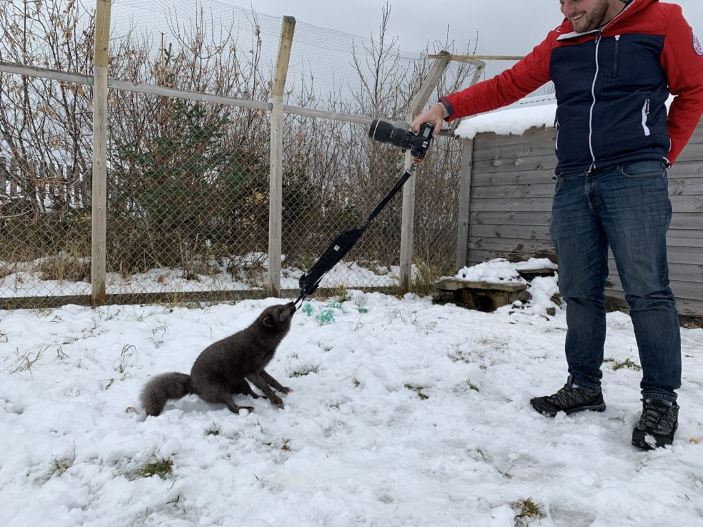 BLACKRAPID Guest Post by Dave Williams | Not On The Warranty 5 BLACKRAPID Guest Post by Dave Williams | Not On The Warranty 5