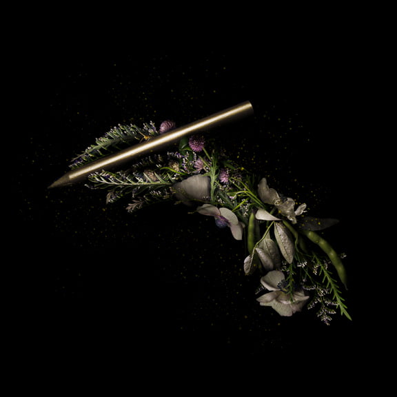 BLACKRAPID Guest Post by Meggan Joy | A Modest Kit to Make Complex Art 1