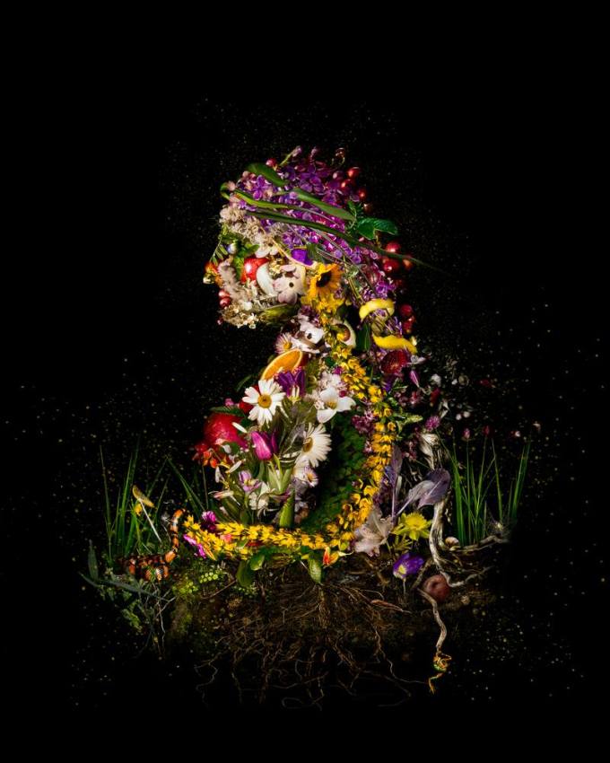 BLACKRAPID Guest Post by Meggan Joy | A Modest Kit to Make Complex Art 7